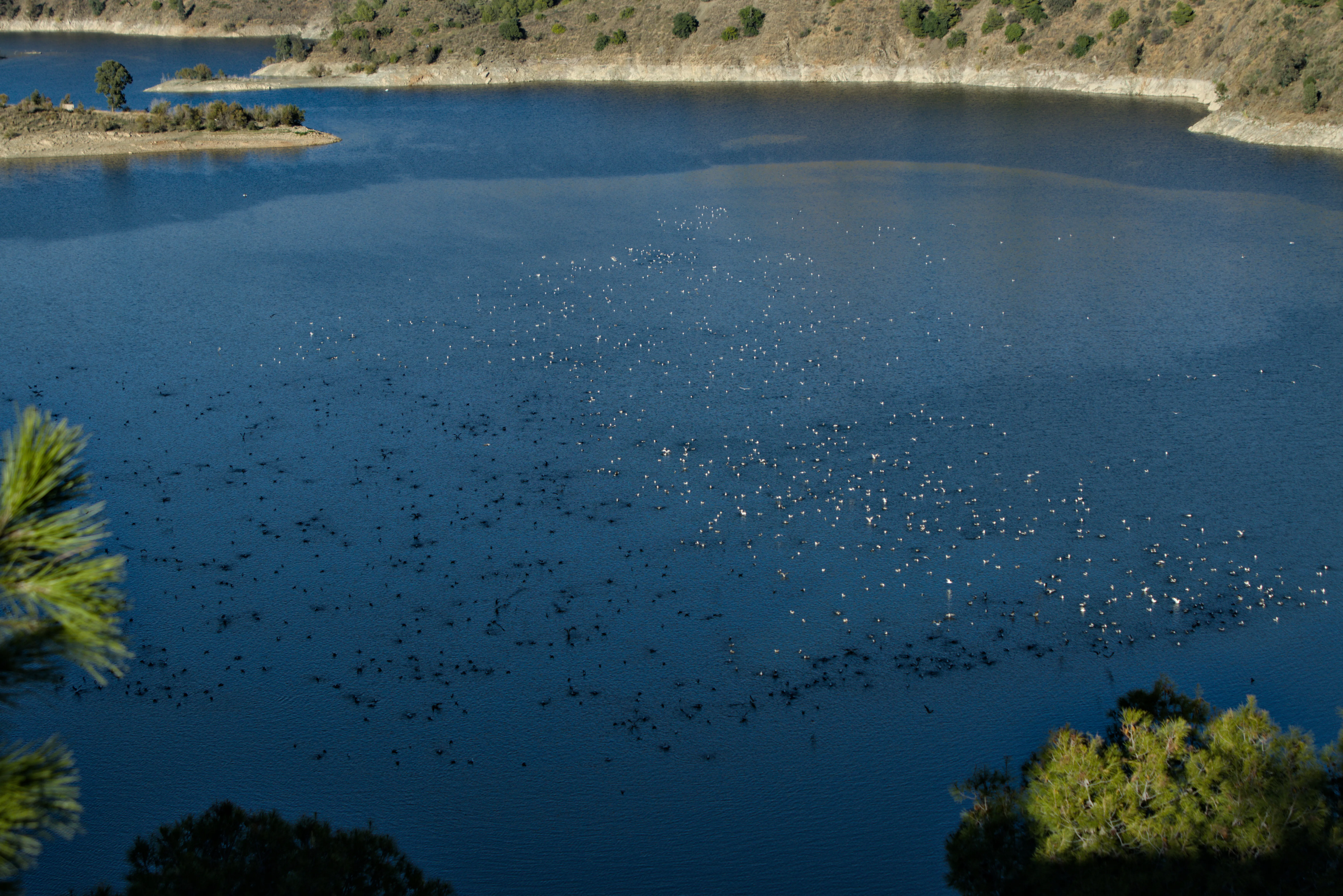 Tamron 28-300mm F3.5-6.3 (EF) - tamon (11).webp